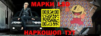 крисы Кинель