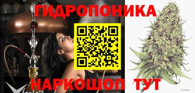 2c-b Кингисепп