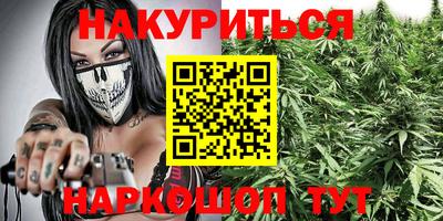 крисы Кинель