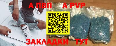 2c-b Кингисепп